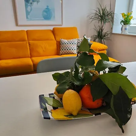 Apartment Palazzo Saltovar *